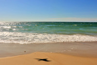 Beaches