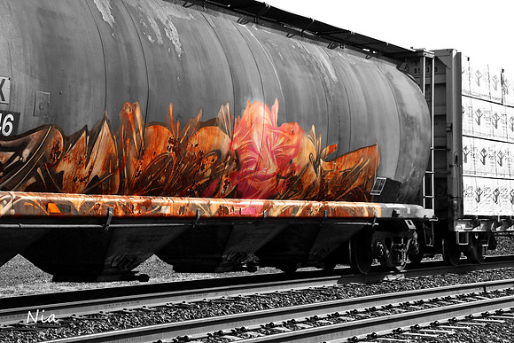 Moving Canvas