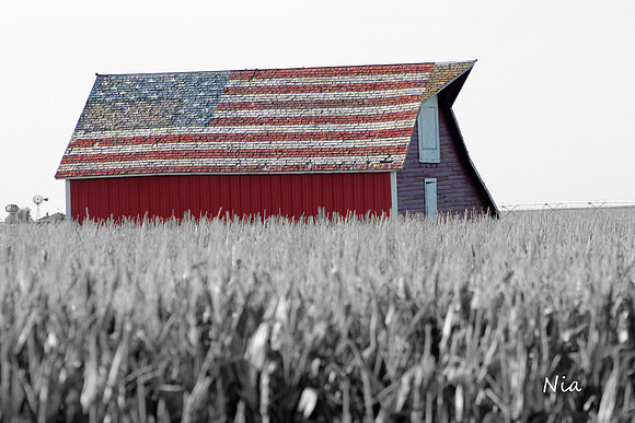 Honoring Old Glory
