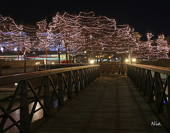 Stroll Amongst the Lights