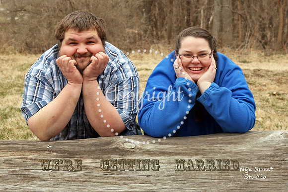 Andrew & Lilian          {Engagement}