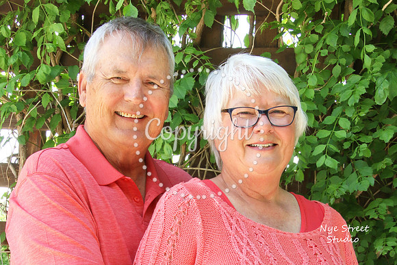 Gary & Brenda {Anniversary}
